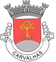 carvalhas.jpg