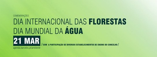 Campanha de sensibilização marca Dia Internacional das Florestas