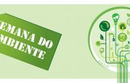 contacto com a natureza para despertar consciên...