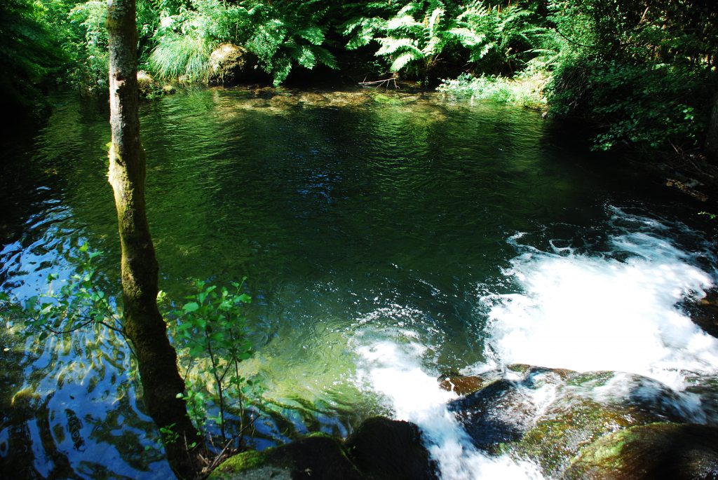 Lagoa de Perelhal