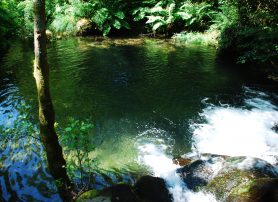 Lagoa de Perelhal