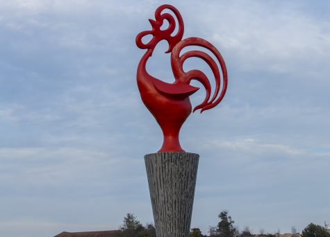 Galo de Barcelos (Rotunda)