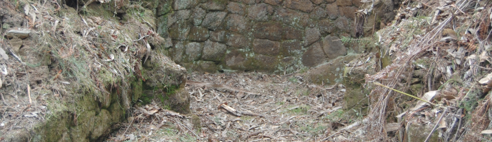 câmara municipal de barcelos preserva patrimóni...