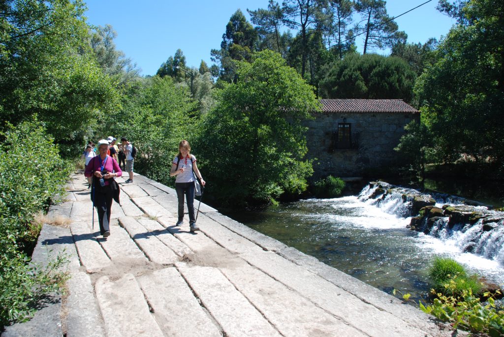 Programa Caminhar para Conhecer Barcelos