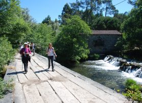 Programa Caminhar para Conhecer Barcelos