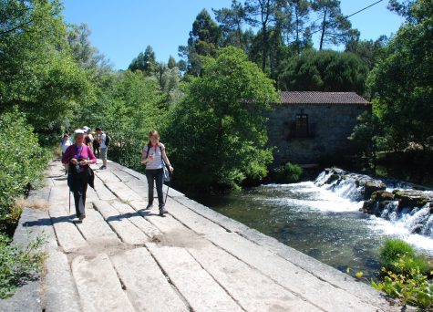 Programa Caminhar para Conhecer Barcelos