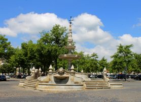 Campo da Feira (Campo da República)