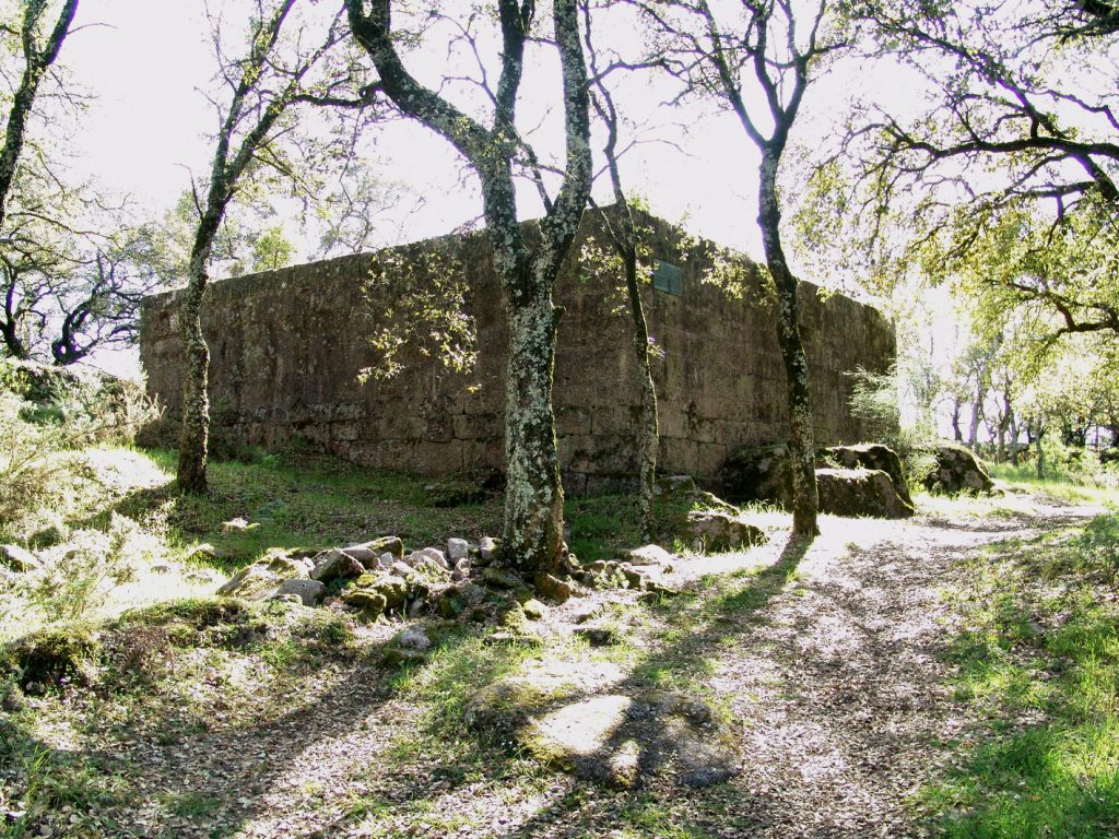 Castro e Castelo de Faria (Gilmonde/Pereira)