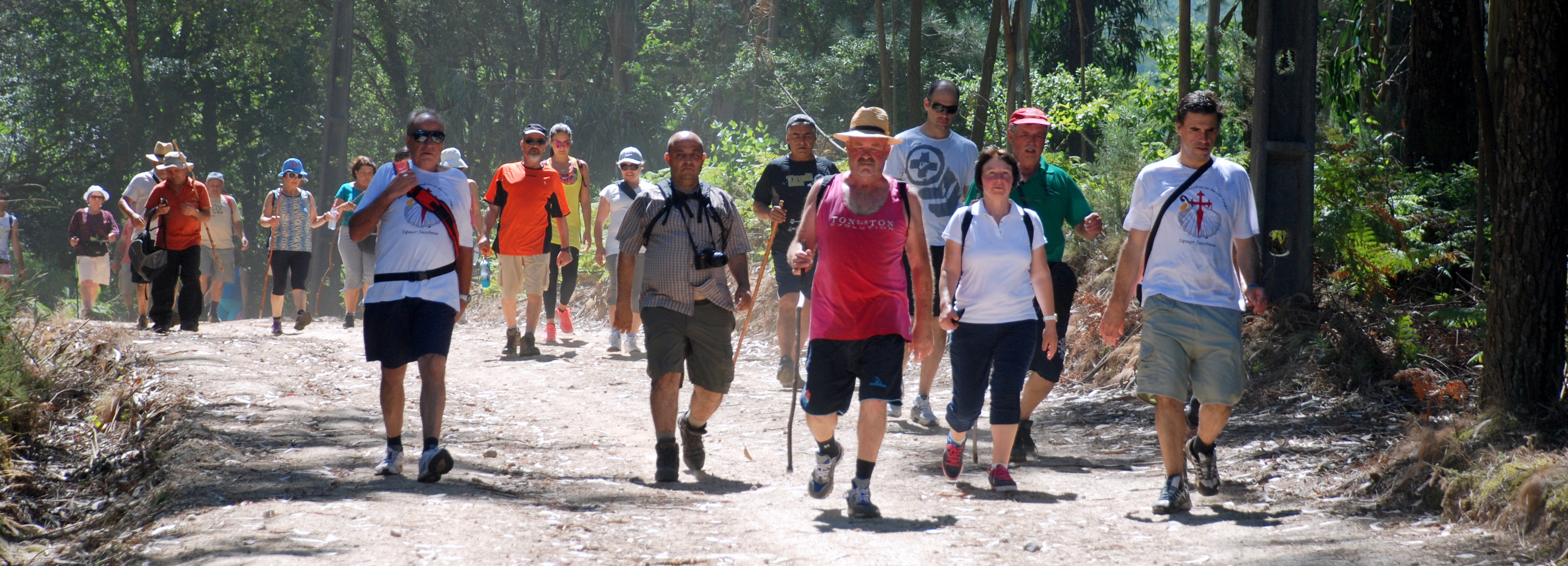 Programa “Caminhar para Conhecer Barcelos” no percurso do Caminho da Rainha