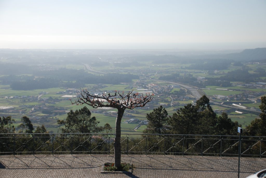 Monte da Franqueira, a colina sagrada dos Barcelenses