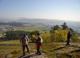 Montes Panorâmicos