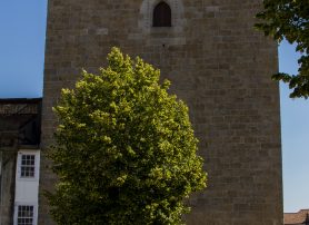 Torre Medieval