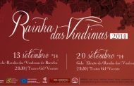 gala da rainha das vindimas no teatro gil vicente