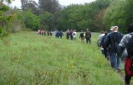 caminhar para conhecer… os moinhos de vento