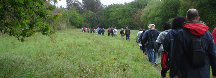 Caminhar para conhecer… os moinhos de vento