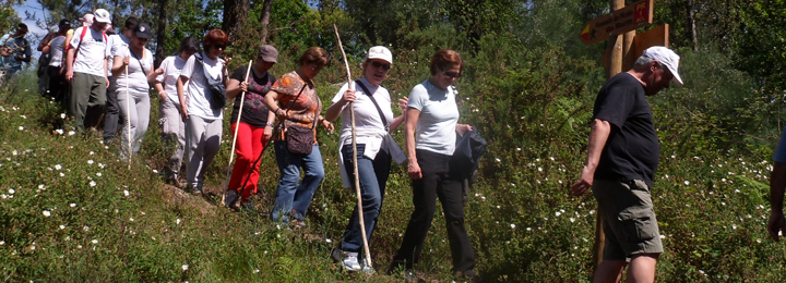 Câmara Municipal volta a promover programa “Caminhar para conhecer Barcelos”