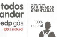 caminhada a favor da liga portuguesa contra o c...