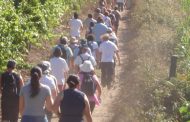 caminhar para conhecer o caminho de santiago