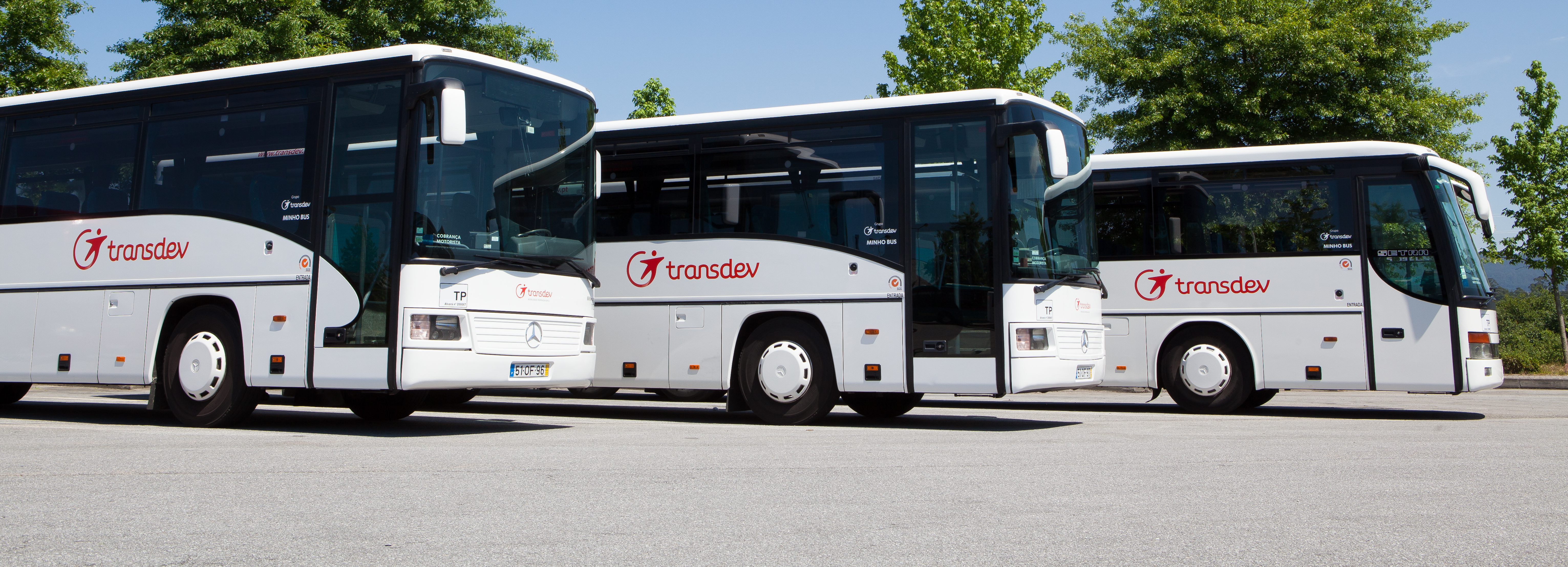 Câmara avança com serviço experimental de transportes urbanos