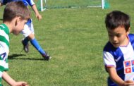 torneio de escolas de futebol junta 275 alunos ...