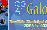 2.ª galofit no pavilhão municipal