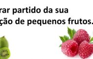 seminário sobre exploração de pequenos frutos