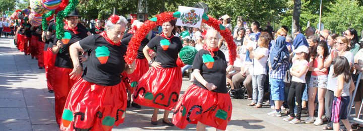 Marchas populares de Barcelos mobilizaram instituições sociais