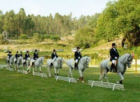 Quinta Pedagógica D’Alvarenga