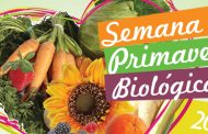 semana da primavera biológica