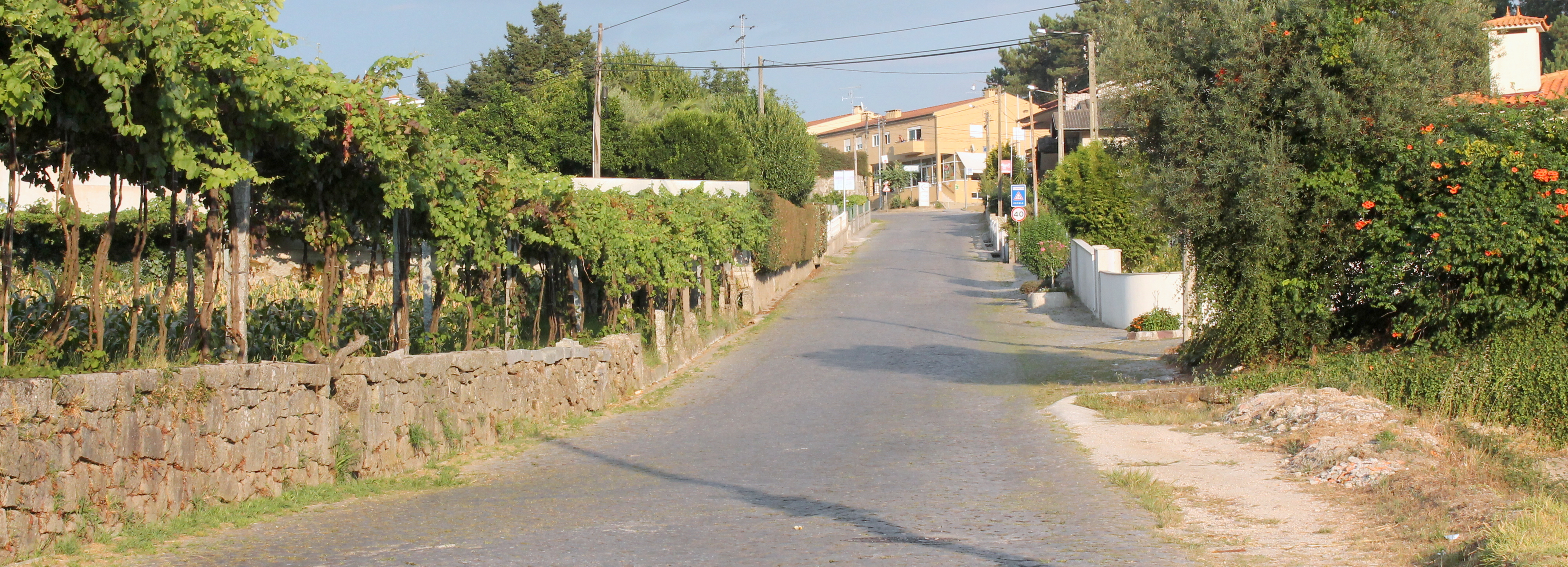 Câmara Municipal abre concurso público para o arranjo da Estrada entre Sequeade e Bastuço