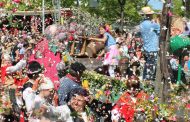 festa das cruzes atrai milhares de pessoas a ba...