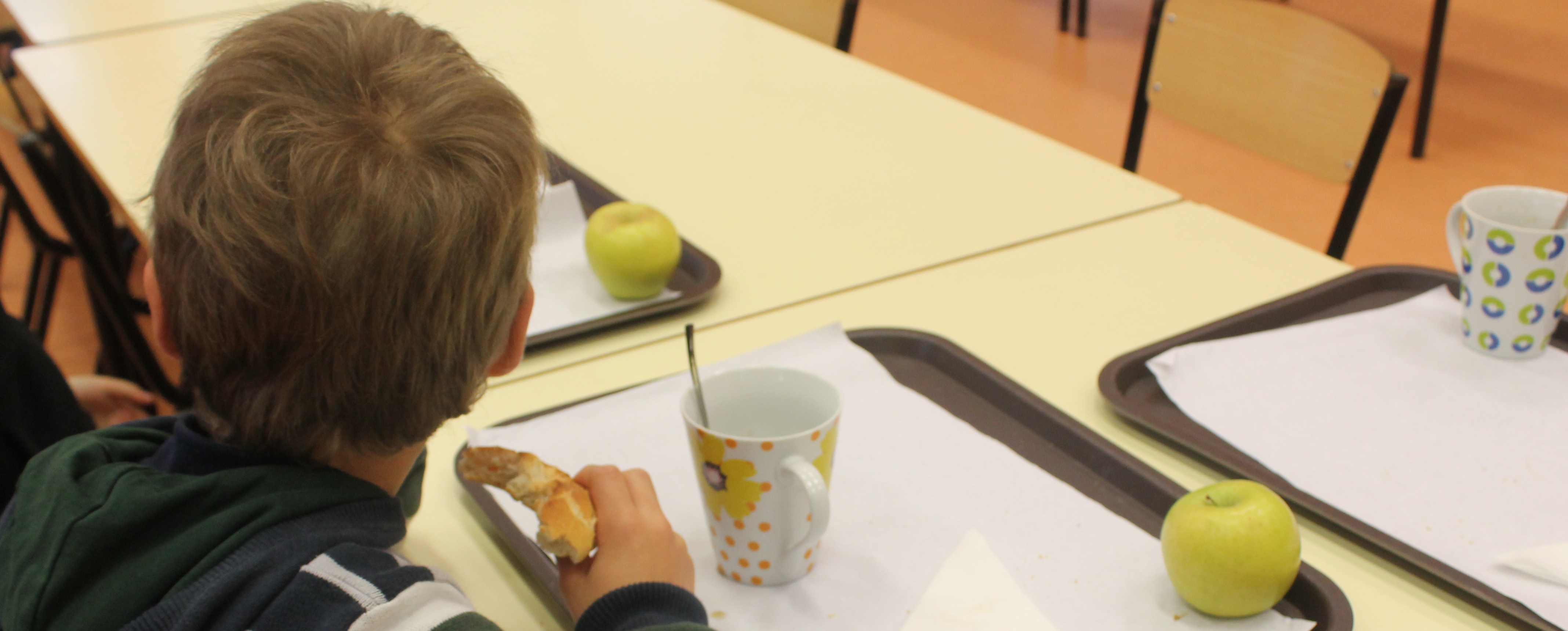 Município fornece pequenos almoços aos alunos e apoia famílias carenciadas