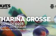 ‘atoms outside eggs’ de katharina grosse em bar...