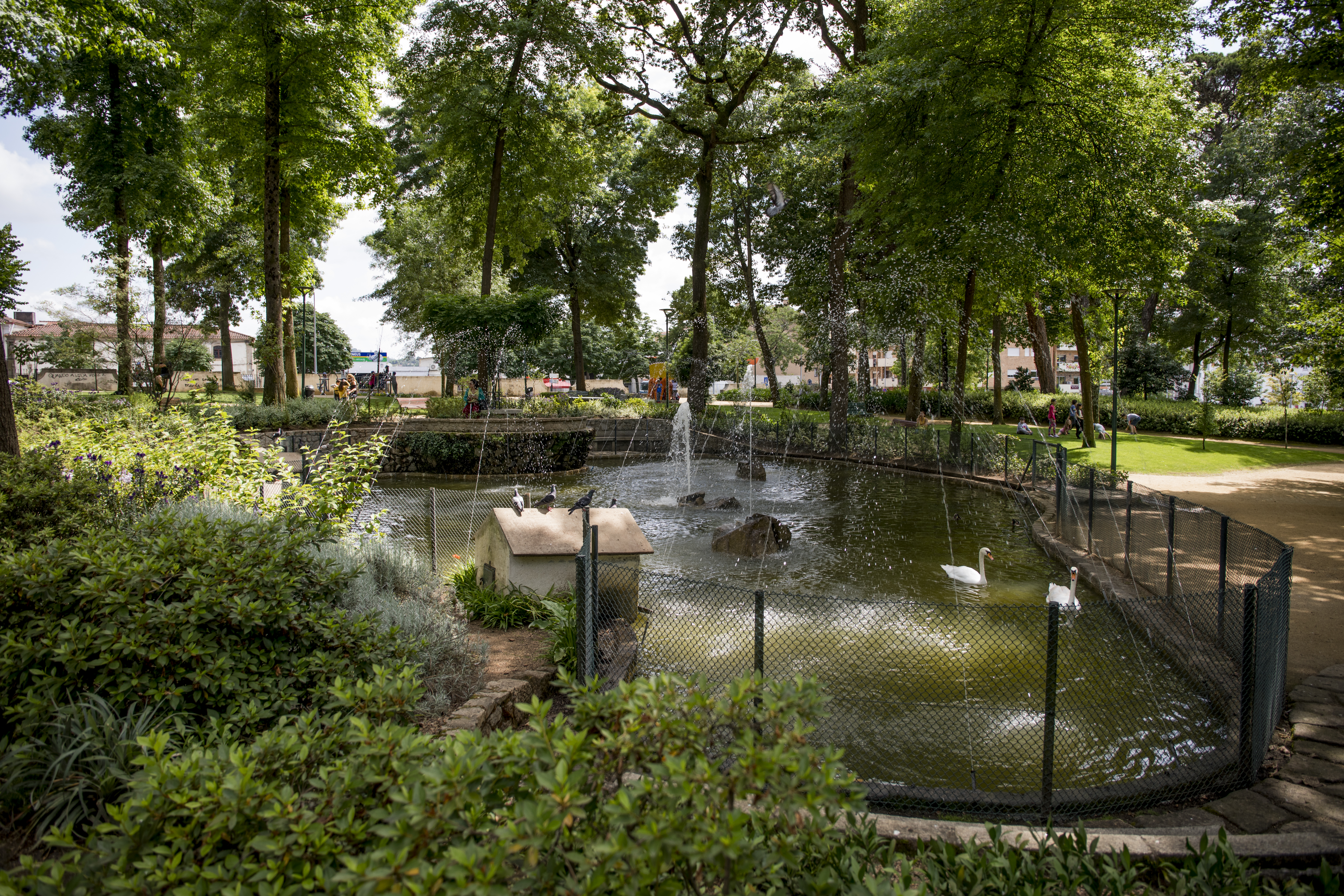 Parque da Cidade abre ao público amanhã