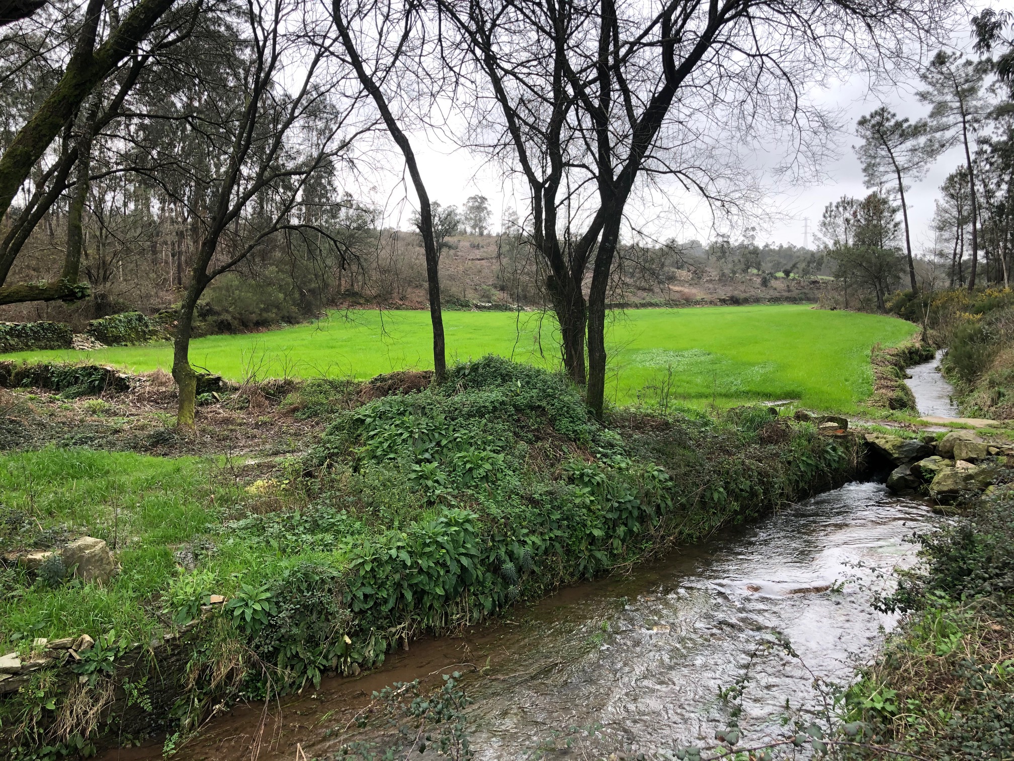 Câmara Municipal adjudica obra do parque de apoio ao peregrino em Macieira de Rates