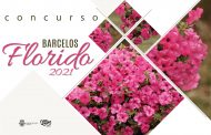 concurso barcelos florido está de volta e prome...