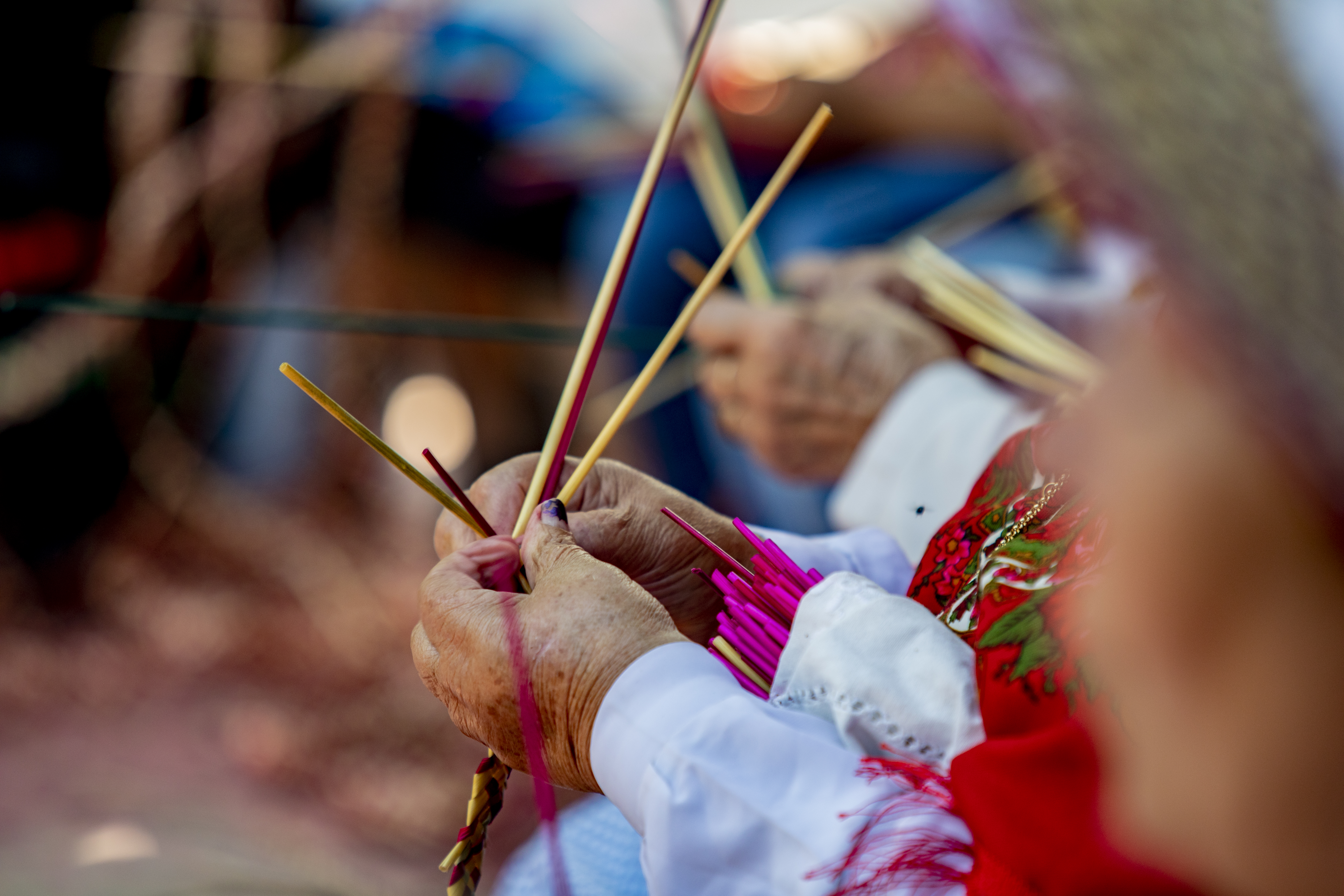 Câmara Municipal obtém financiamento para projeto cultural de inclusão