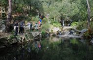 programa “caminhar para conhecer barcelos” regr...