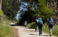 “caminho limpo é bom caminho” é o mote para o d...