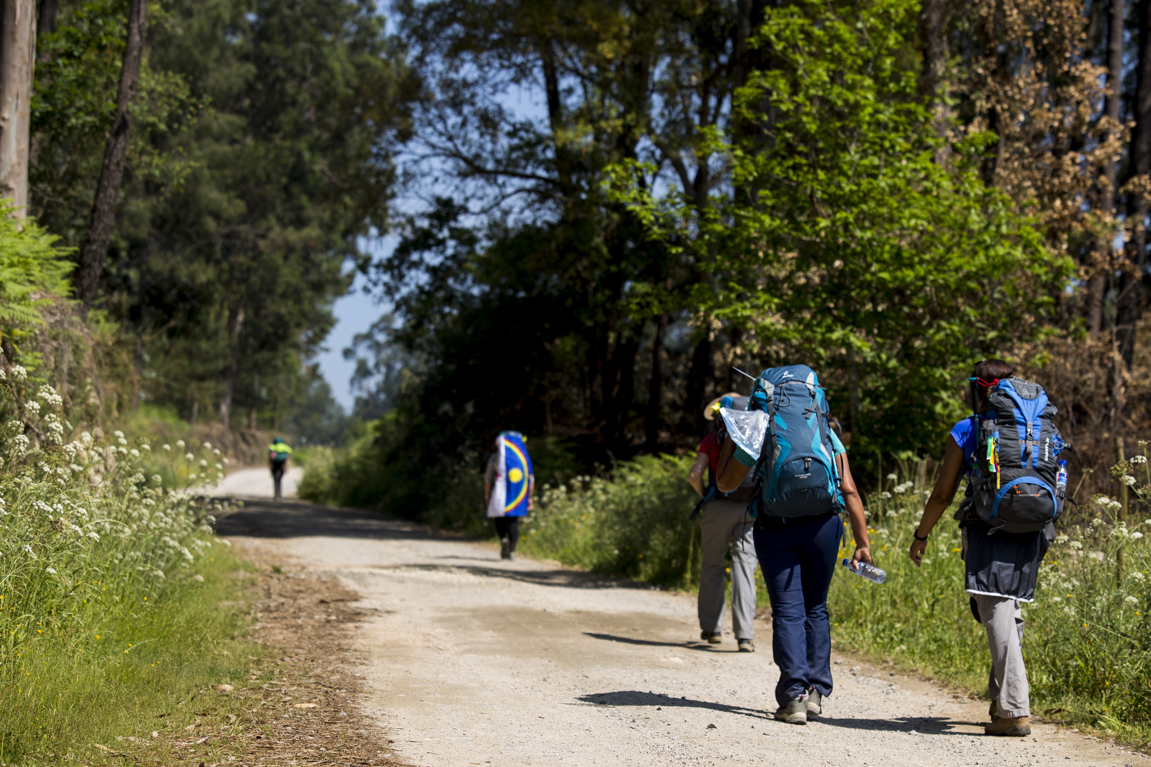 “Caminho Limpo é Bom Caminho” é o mote para o Dia de Santiago