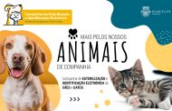 campanha de apoio à esterilização e identificaç...