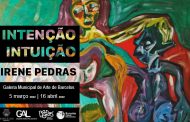 intenção/intuição de irene pedras, na galeria m...