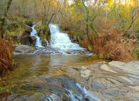 PR7 BCL – No Trilho do Penedo do Ladrão pelas lagoas de Enxate