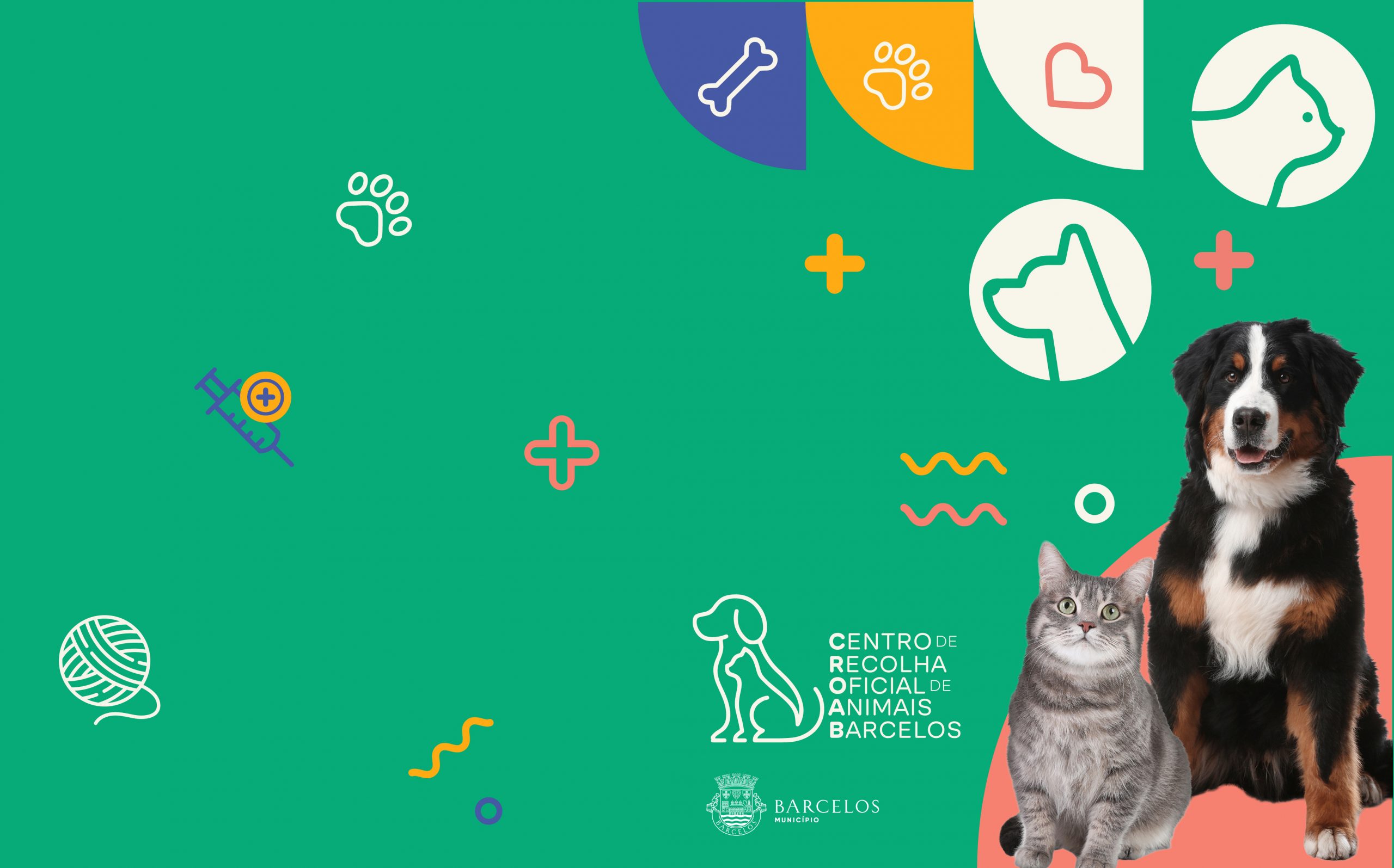 Campanha de apoio à esterilização e identificação eletrónica de cães e gatos de companhia